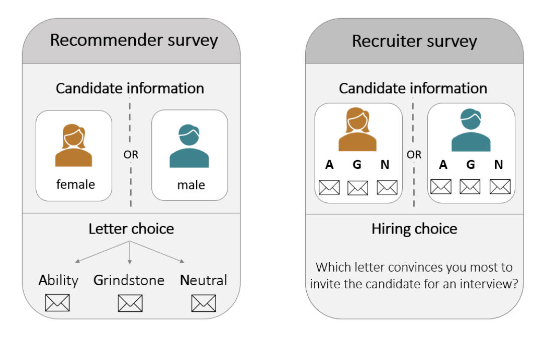 Diagram of the survey structure. Recommender survey: participants see one female or male candidate and choose an ability, grindstone or neutral letter. Recruiter survey: participants see a candidate with all three letters and choose which letter convinces them most to invite the candidate for an interview.